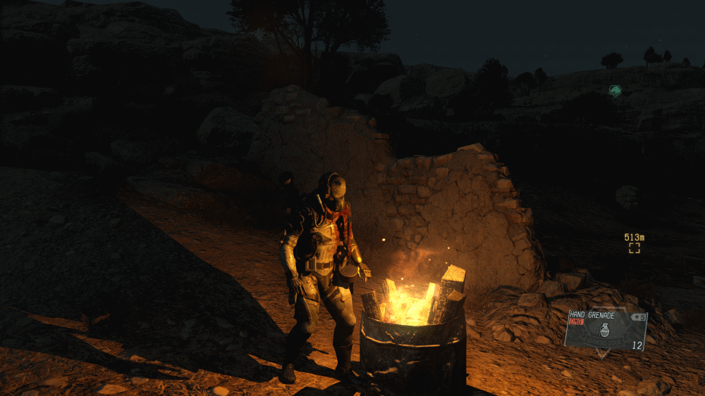 MGS V