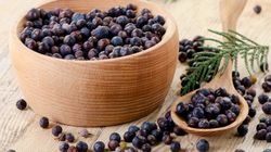 Jałowiec - na problemy żołądkowe, właściwości przeciwzapalne, olejek z jałowca