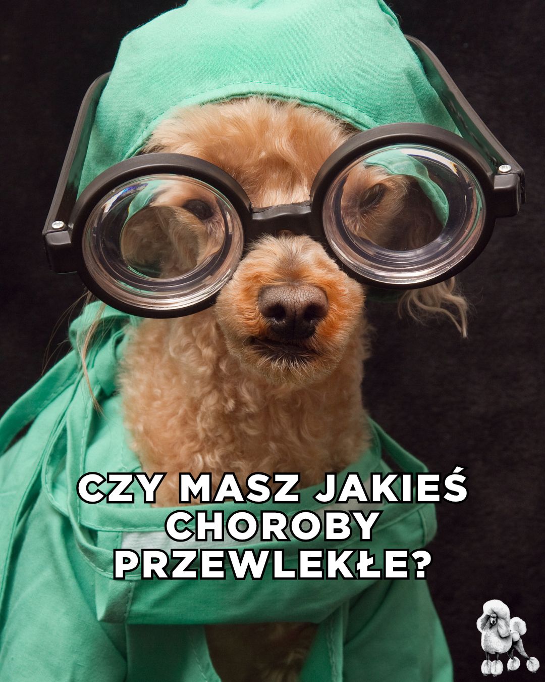 Najlepsze TEKSTY z "Love is Blind"