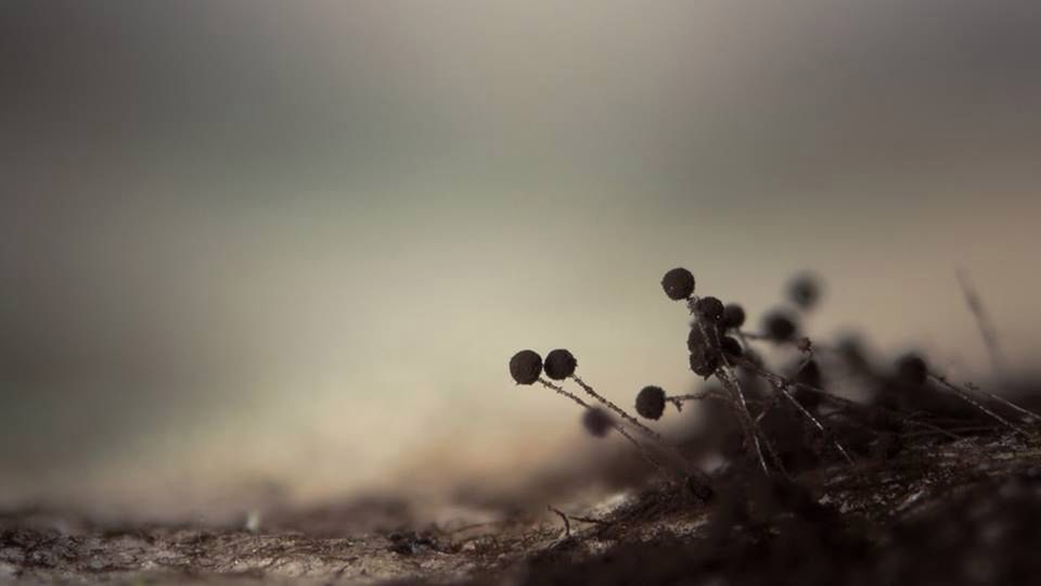 Poznajesz, co jest na zdjęciach? Prawdopodobnie większość znasz 1