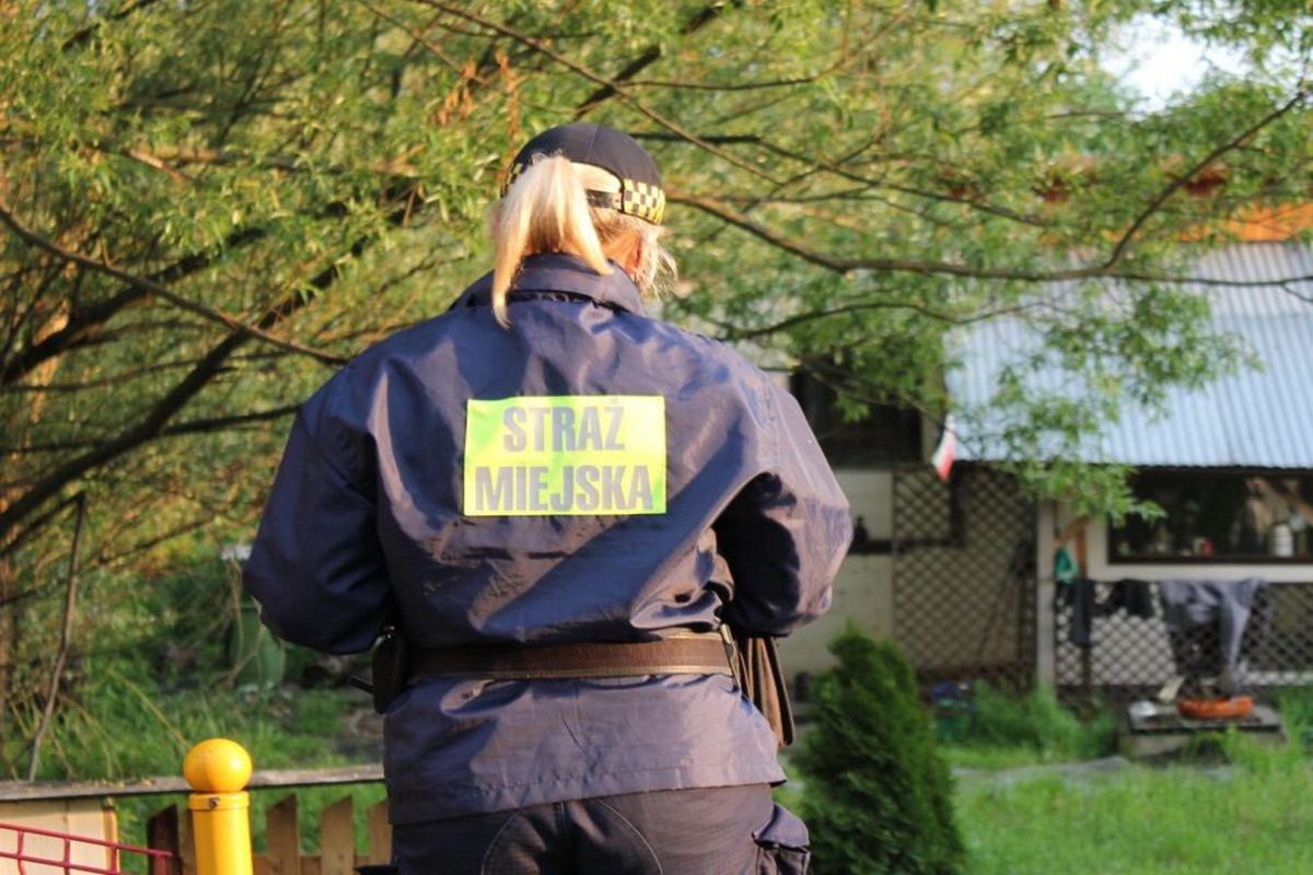 Kraków. Oblizał długopis i wbił go strażniczce miejskiej