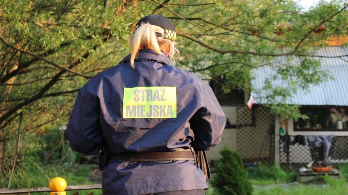 Straż Miejska Kraków