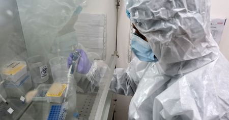 Powstanie nowa szczepionka przeciw COVID-19? Będzie oparta na kurzych jajach
