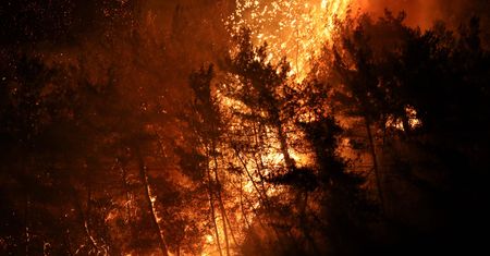 Pożar lasów w Rosji. Skutki odczuwalne nawet w Moskwie