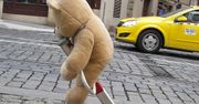 Najlepsze reklamy wirusowe. Jak firmy nabierają internautów? [TOP 10 wideo]