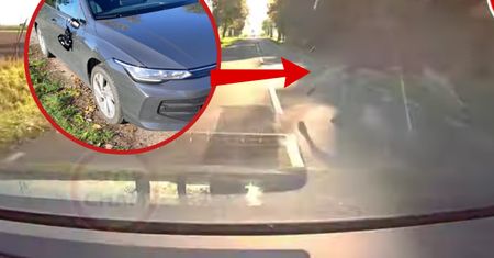 Nowiutkim volkswagenem wjechał w łosia. "Nie miał OC i poszedł w długą..."