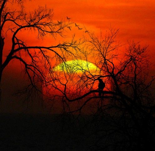 Wiosna, nareszcie wiosna! - zobacz 15 wiosennych fotografii 13