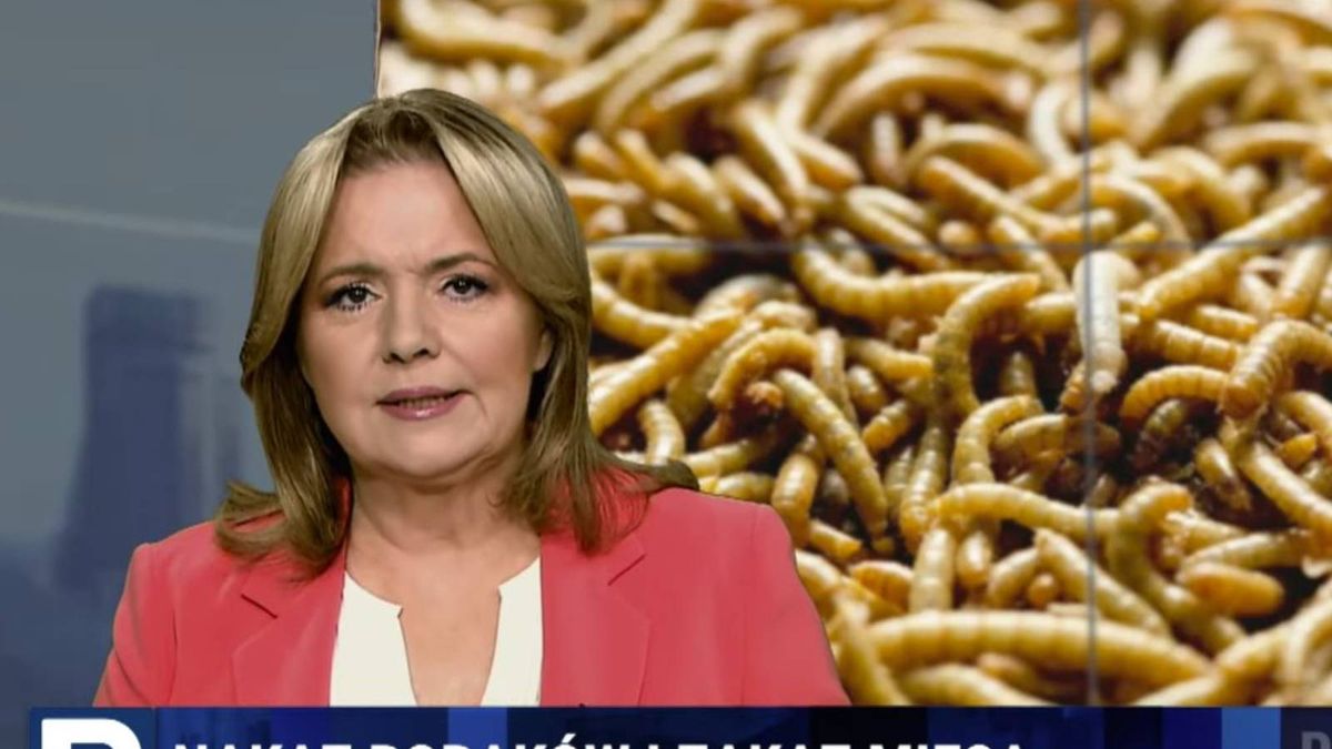 TV Republika straszy widzów na antenie, tym razem jedzeniem robaków
