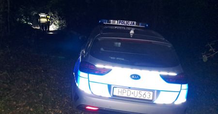 Fatalny finał grzybobrania. 43-latek trafił do więzienia