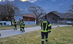 Tajemnicza śmierć we włoskim kurorcie. Mężczyznę zaatakowało zwierzę