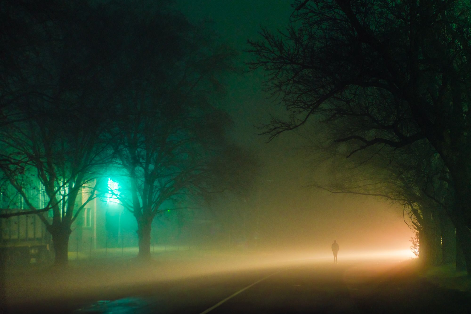 Nocne życie miast w blasku neonów na zdjęciach Elsy Bledy 3