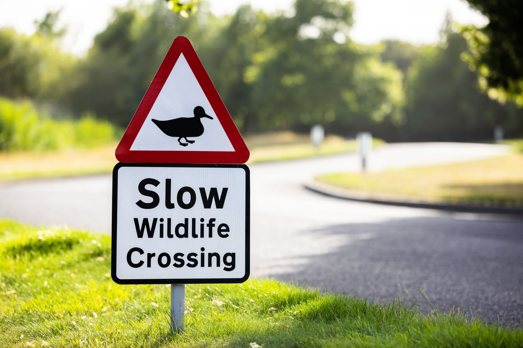 Fabryka Rolls-Royce'a w Goodwood