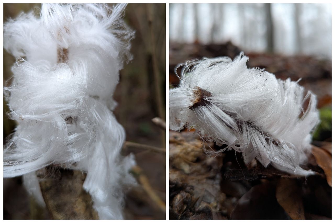 "Lodowe włosy". Park narodowy pokazał zdjęcia