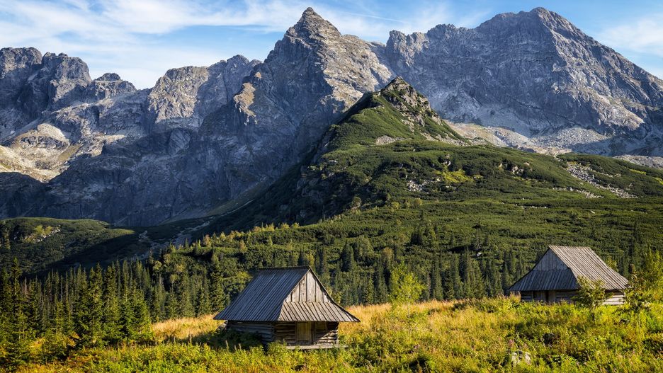 Z zaproponowanego przez Ministerstwo Rozwoju świadczenia będą mogły skorzystać osoby, które zatrudnione są na podstawie umowy o pracę