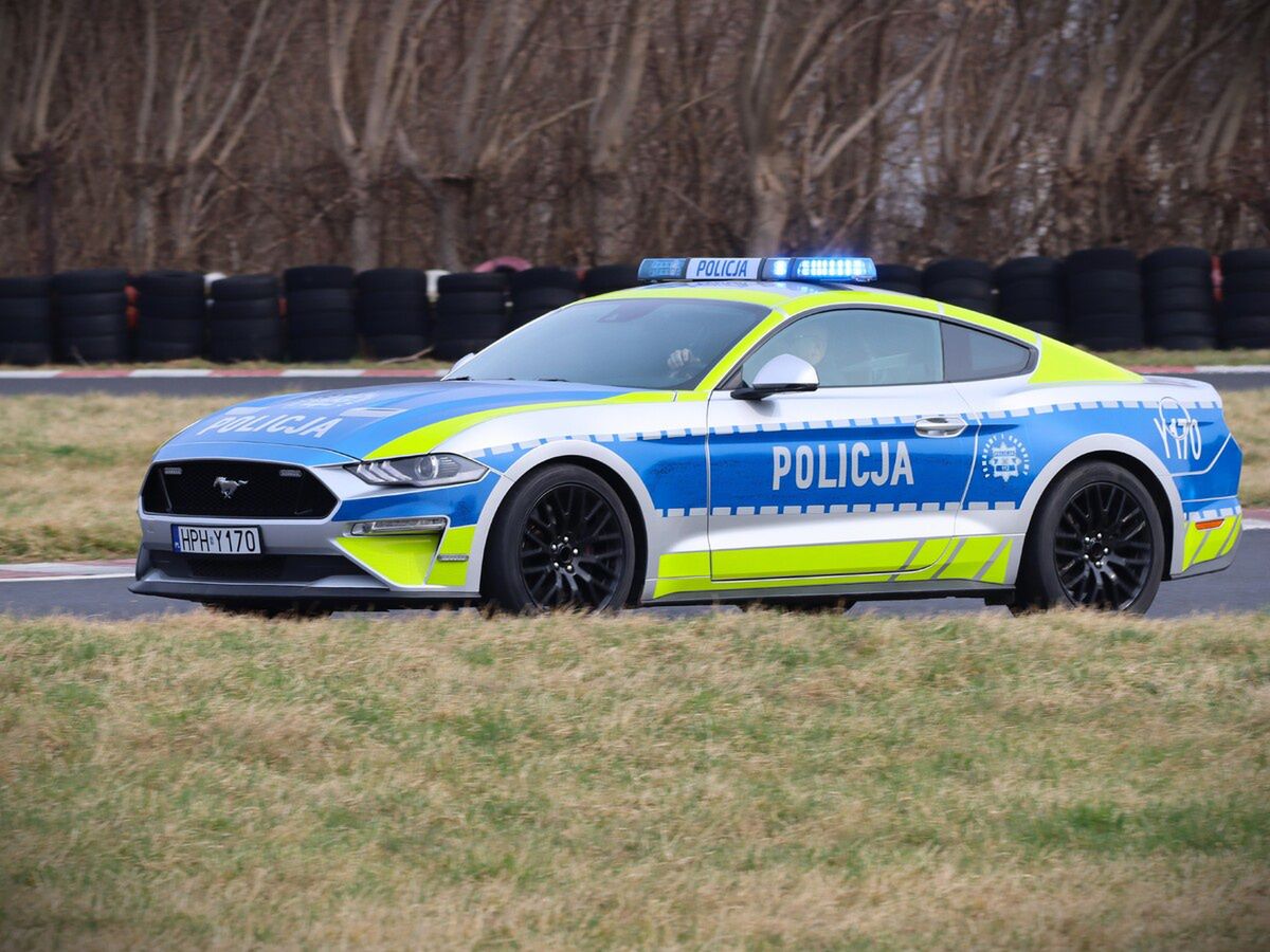 Mustang