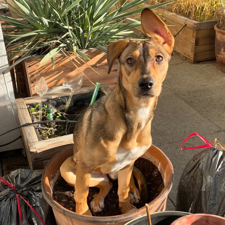 Tak mieszkają Aleksandra Kwaśniewska i Kuba Badach