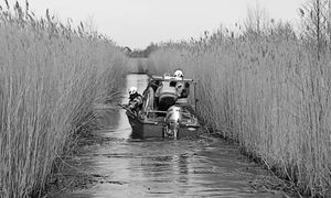 Szukali go od 4 miesięcy. Wypłynął na ryby i zniknął. Smutny finał