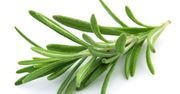 Rozmaryn - charakterystyka, właściwości lecznicze, kąpiel rozmarynowa