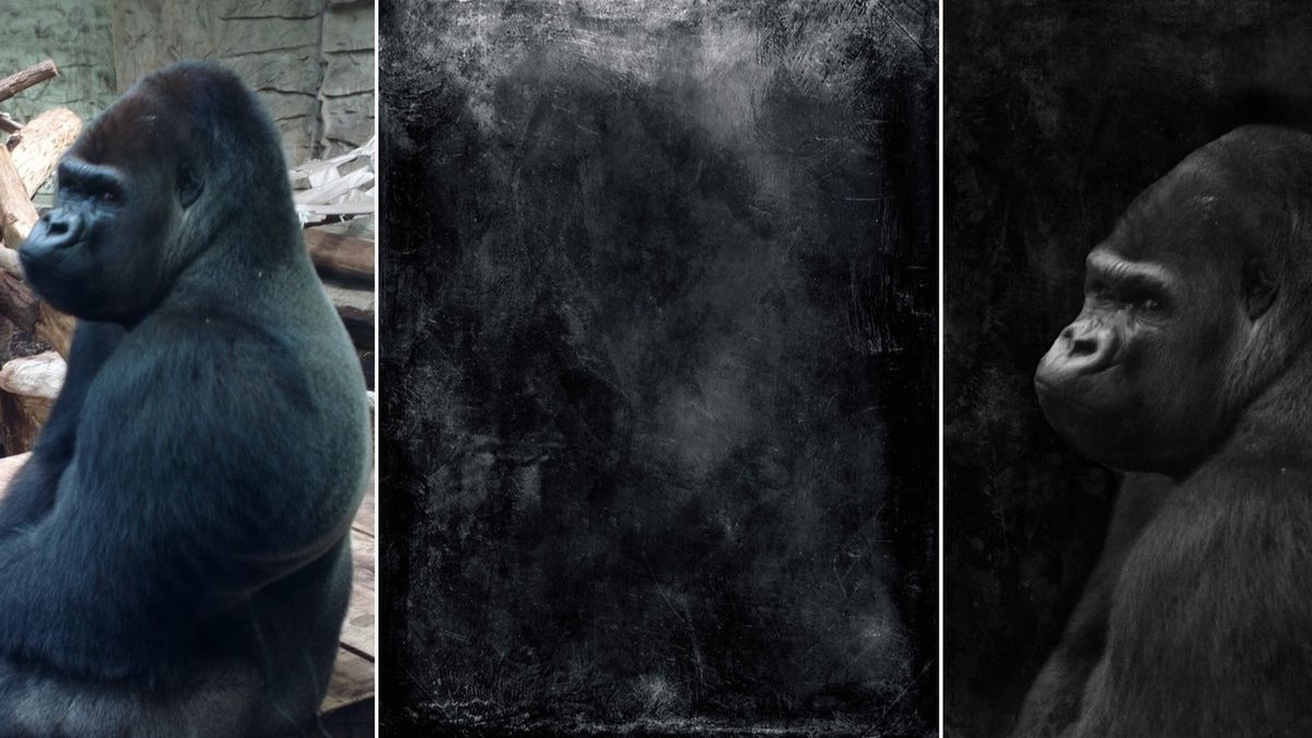 Przepis na mobilną fotoedycję: tuning nieudanych zdjęć 1