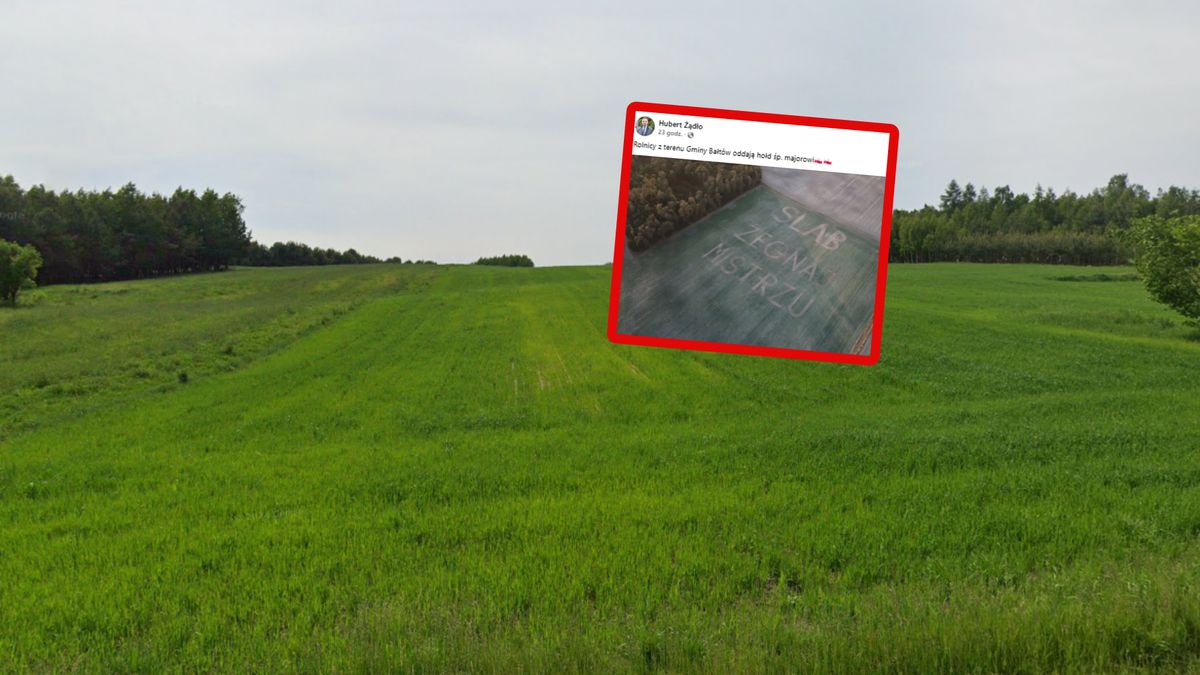 Wyjątkowy hołd od rolników dla "Slaba" (w tle zdj. poglądowe)