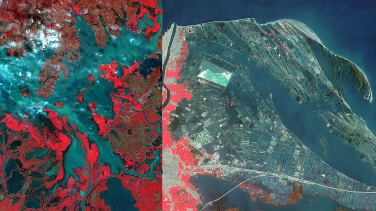 NASA udostępniła za darmo prawie 3 miliony zdjęć z kosmosu 1