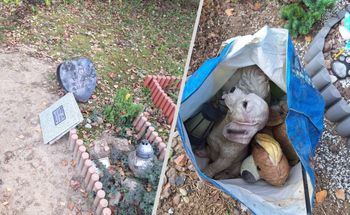 Gorzów: Złodziej na cmentarzu dla zwierząt. Kradł znicze i figurki