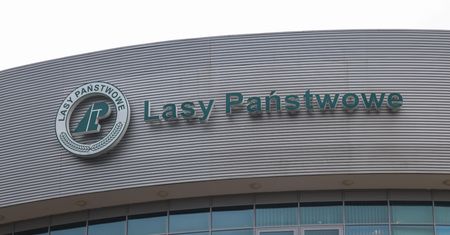 Tak w Lasach Państwowych wydawano miliony. Jest raport NIK