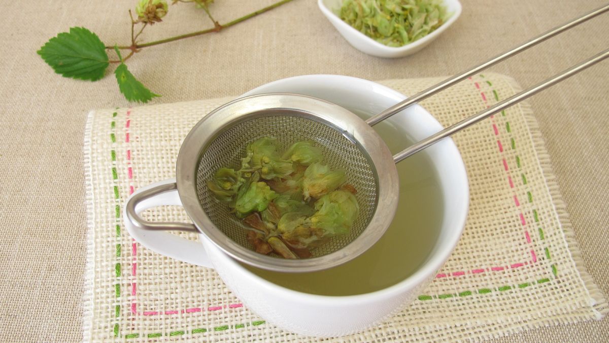 Napar z szyszek chmielu