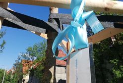 Koronawirus. Wrocław. Międzynarodowy Dzień Pielęgniarek i Położnych. Miasto posadziło specjalne drzewka