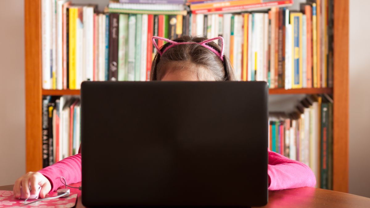 Podejrzany pokazywał w sieci 10-latce treści dla dorosłych (zdj. ilustracyjne)