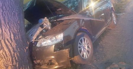 Audi rozbiło się na drzewie. Policjanci szybko odkryli, kto prowadził