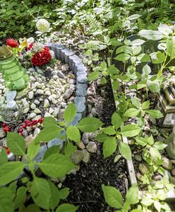 Nielegalny cmentarz w Sosnowcu. Grzebią i narażają się na grzywny