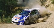 Peugeot 206 WRC – król lew powraca [część 1] | historia motorsportu