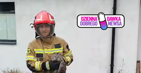 Utknęła w kominku. Strażacy szybko ruszyli na pomoc