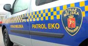 Warszawa. Nieżywy boa dusiciel w lesie na Bielanach. Uciekinier albo wyrzucona zabawka