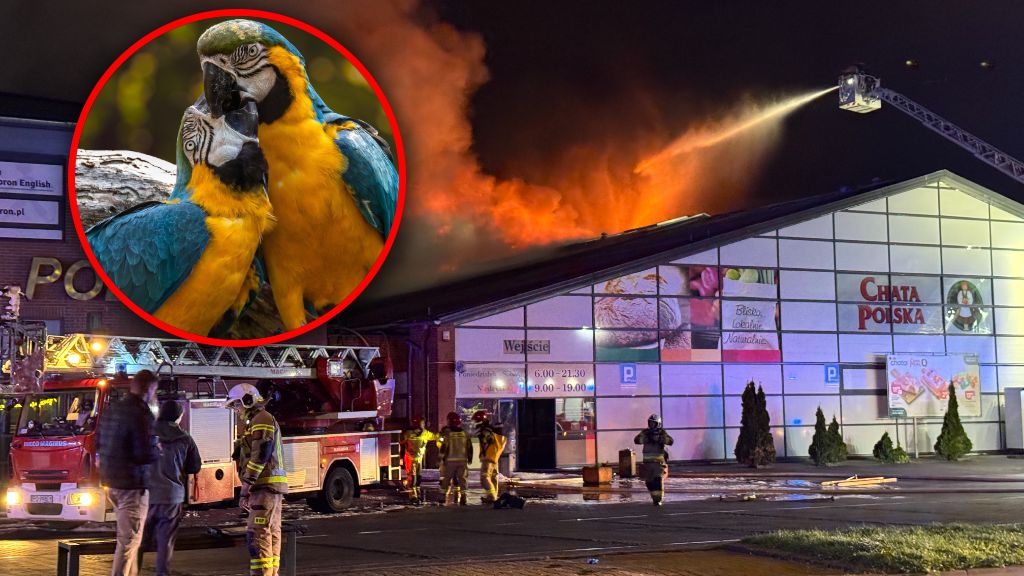 Kontrowersje wokół akcji gaśniczej w Poznaniu