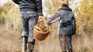 W tych miejscach obrodziło grzybami. Grzybiarze mają kosze pełne pięknych okazów