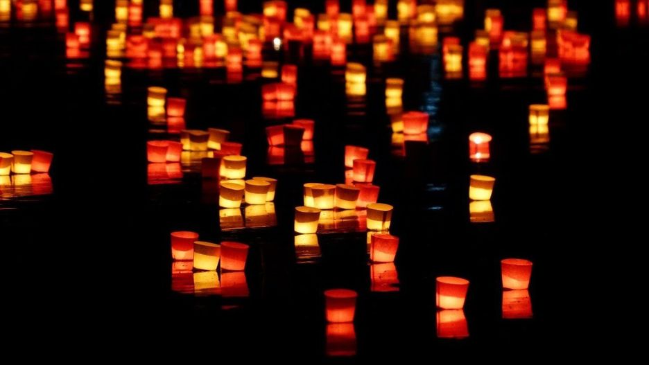 Zmiana organizacji ruchu w Jędrzejowie. Jakie zmiany zajdą od piątku, 31 października do poniedziałku, 3 listopada?