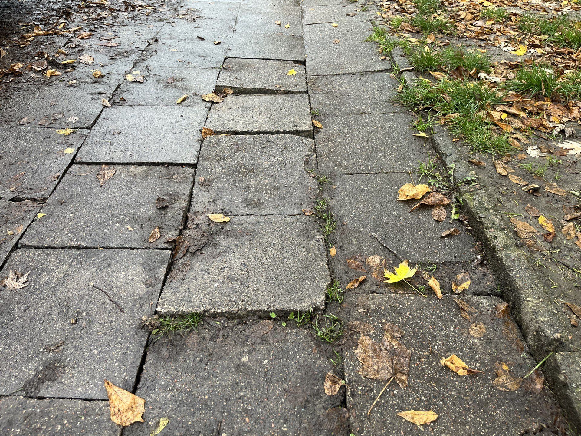 Osiedle Nowe Rokicie przy ul. Komfortowej