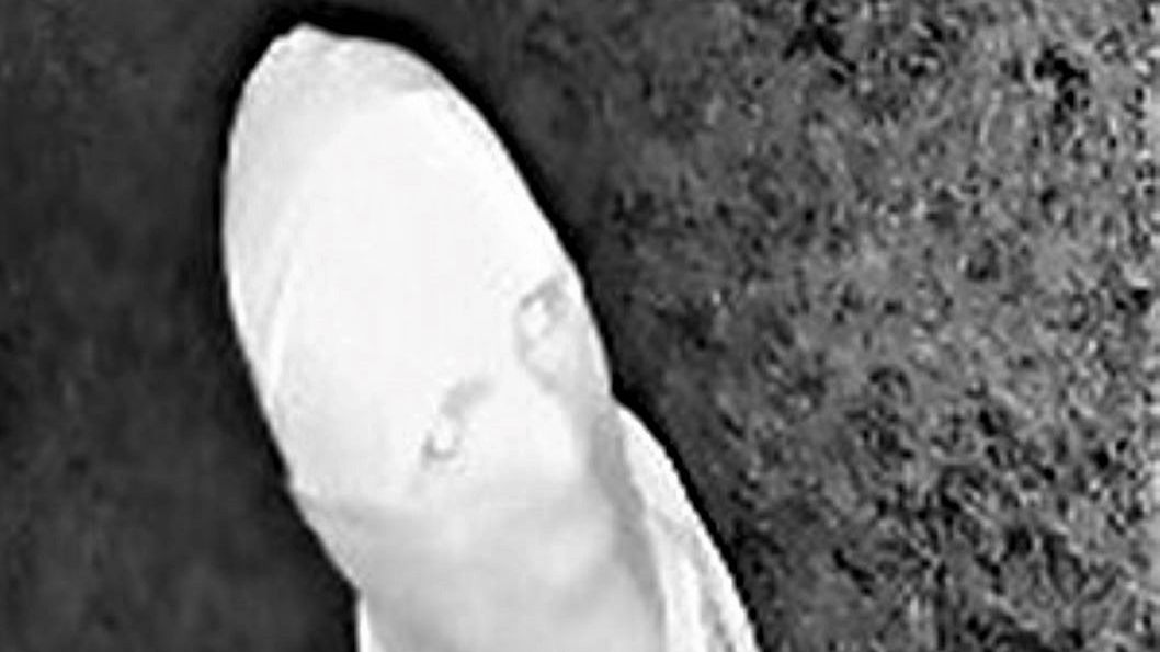 Zdjęcia są niewyraźne, ale być może naprowadzą kogoś na właściwy trop 