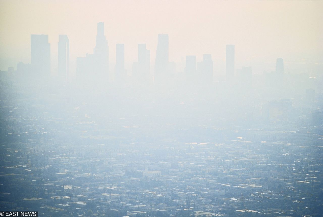 Smog nad Los Angeles (fot. Will & Deni McIntyre dla East News)