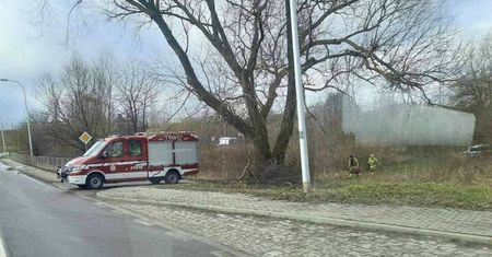 Zwłoki kobiety w rowie. Niedawno zaginęła