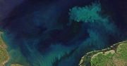 Oceany zmieniają kolor. Wszystko przez ocieplanie się klimatu