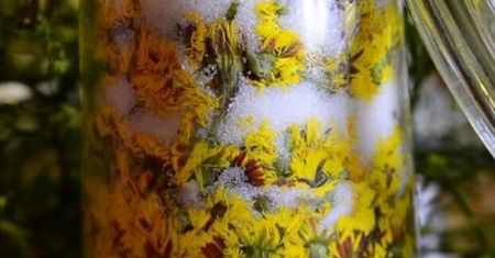 Tak przygotujesz naturalny syrop na kaszel. Przepis od Lasów Państwowych