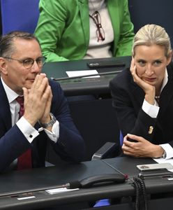 Brandenburgia uznaje AfD za organizację skrajnie prawicową