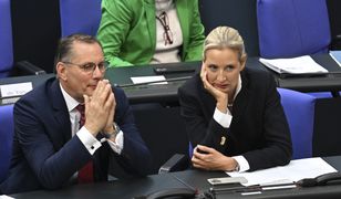 Brandenburgia uznaje AfD za organizację skrajnie prawicową