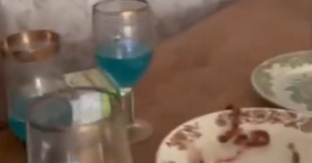 Niebywałe. Ukraińcy wrócili do domu. To zostawili w nim Rosjanie