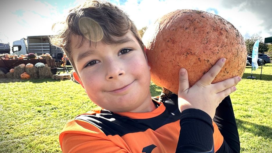 Piknik dynia i przyjaciele w Niedoradzu