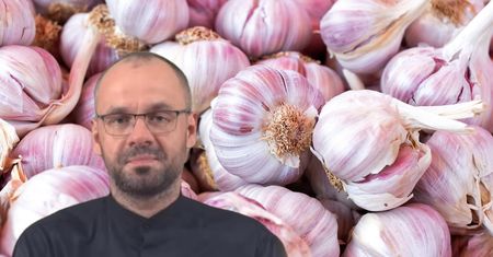 Lekarz radzi jeść dwa ząbki czosnku dziennie. Niebywałe, jak działają na organizm