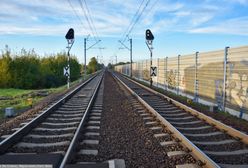 CPK chce kupić 100 pociągów. "Kolejny przejaw megalomanii"